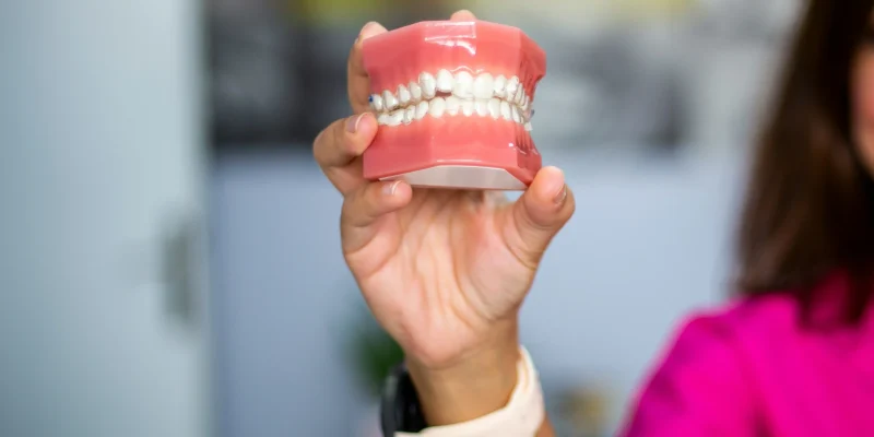 menina segurando uma escultura dentária na mão. Elucida como escovar dentes de uma forma adequada. possui uma camisa rosa e o fundo está desfocado.